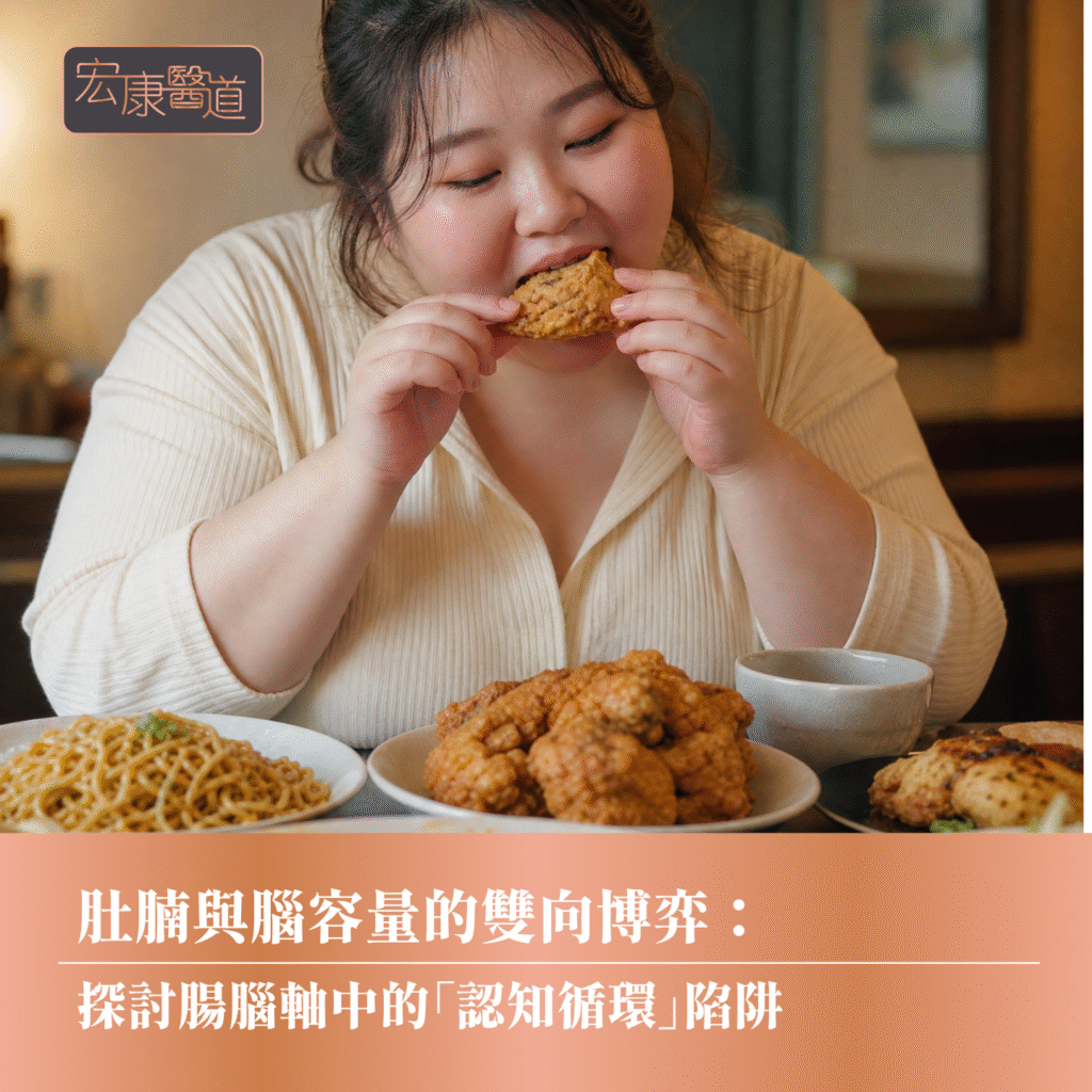 肚腩與腦容量的雙向博弈： 探討腸腦軸中的「認知循環」陷阱