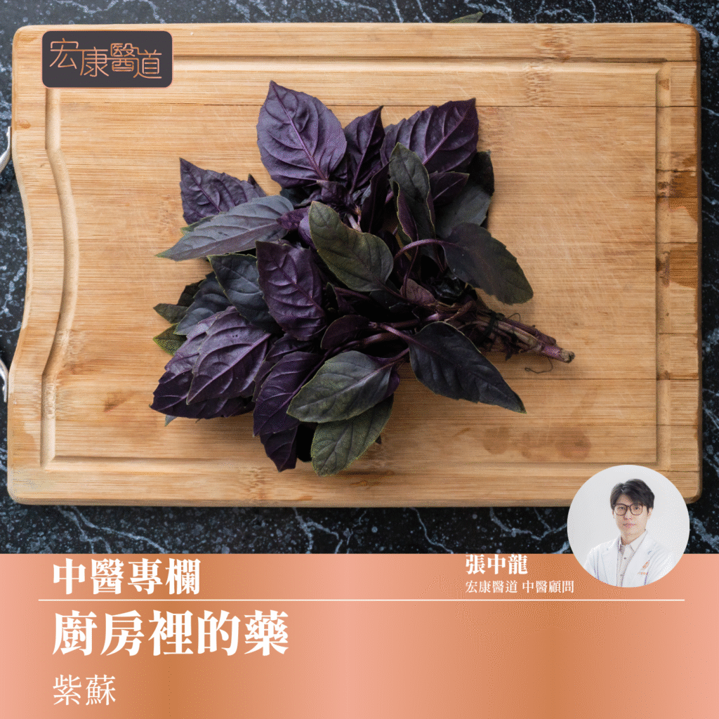 廚房裡的藥：紫蘇｜不只是大閘蟹的最佳拍檔，更是中醫常用的養生食材