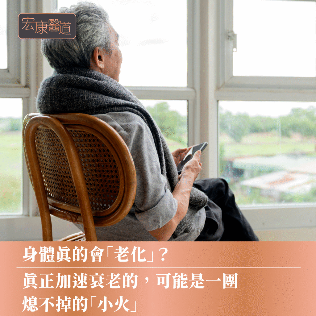 【身體真的會「老化」？】真正加速衰老的，可能是一團熄不掉的「小火」