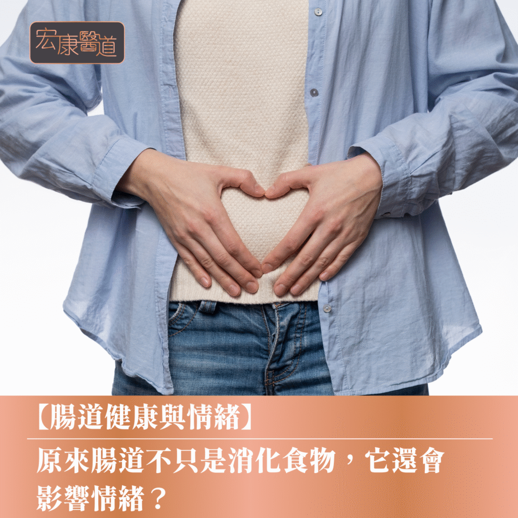 【腸道健康與情緒】壓力大就胃脹肚瀉？拆解「腸腦軸」與中醫脾胃調理法則