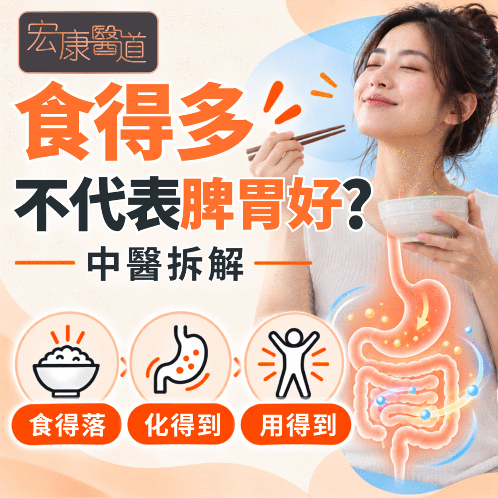 【食得多不代表脾胃好？】中醫拆解「食得落、化得到、用得到」之間的差別