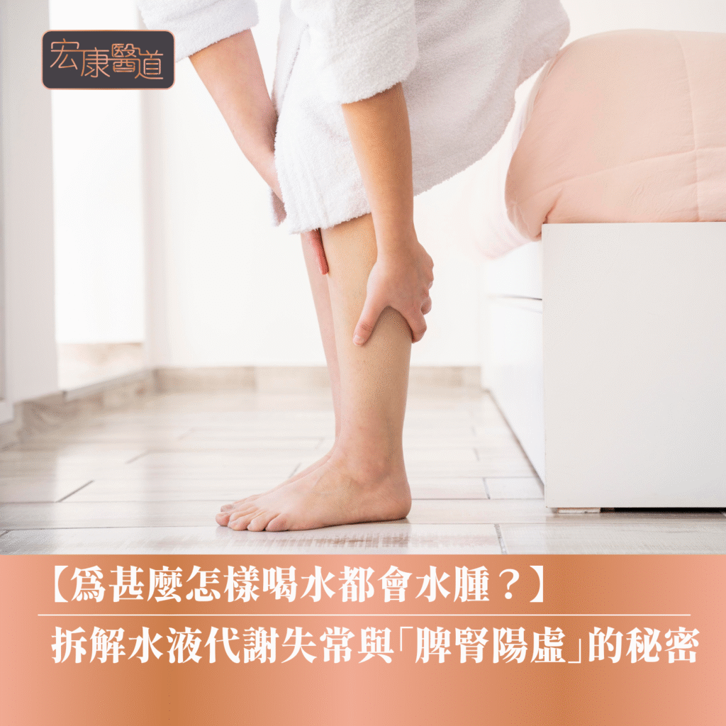【為甚麼怎樣喝水都會水腫？】拆解水液代謝失常與「脾腎陽虛」的秘密